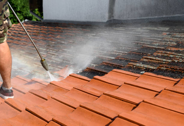 Best Affordable Power Washing  in Stottville, NY